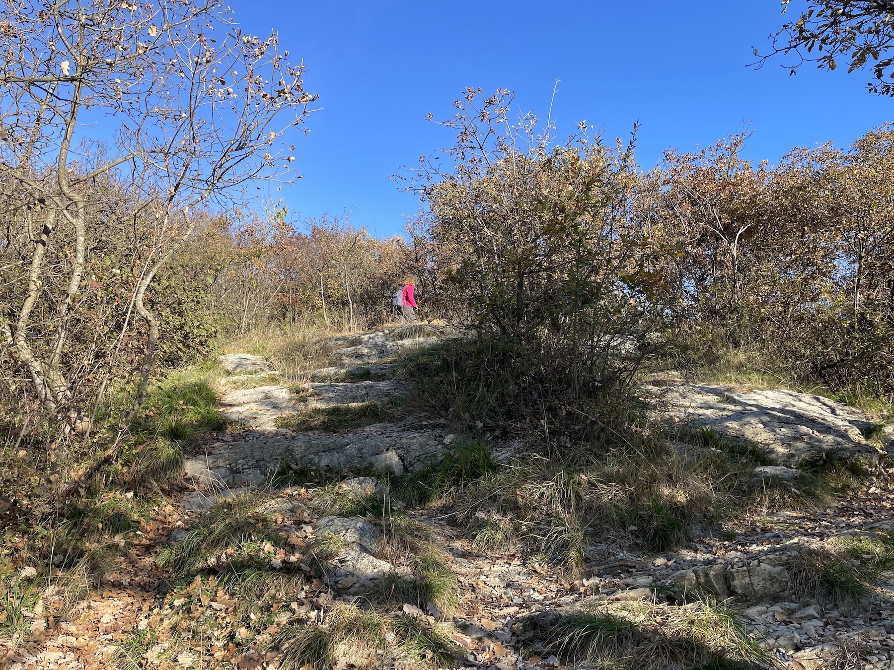 Flâneur a cura di Agustin Sanchez